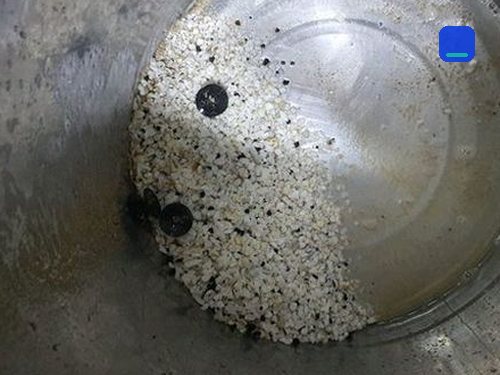 수원 · 전화 상담 뒤 방문 고객 글 사진